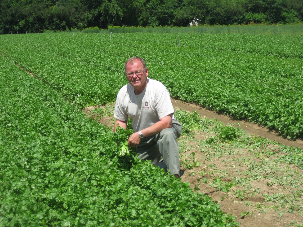 Barsuglia Farms